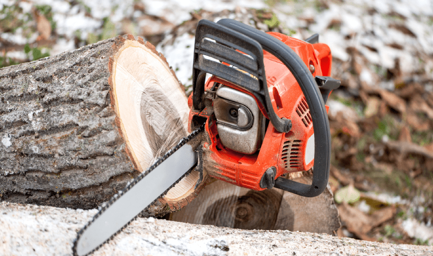 Tree Removal